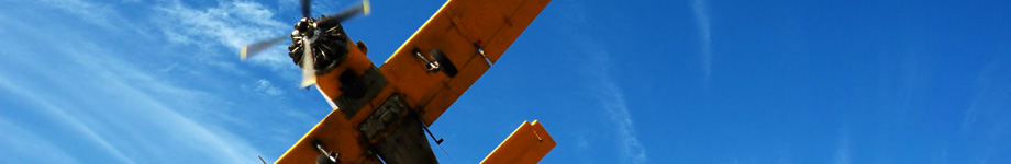 Žagubica Rotating Header Image